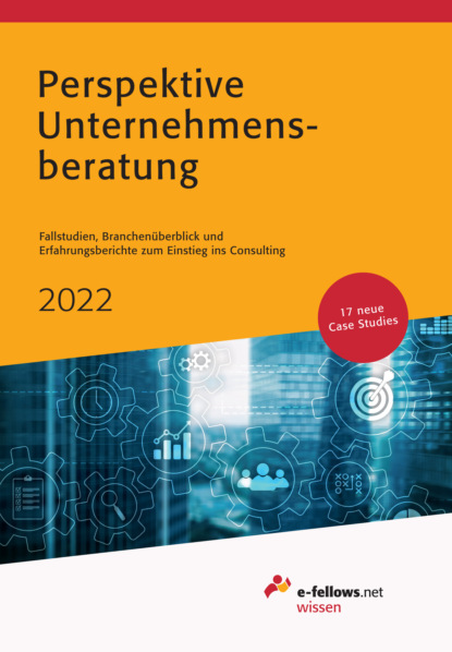 Perspektive Unternehmensberatung 2022 - Группа авторов