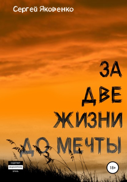 За две жизни до мечты — Сергей Валериевич Яковенко