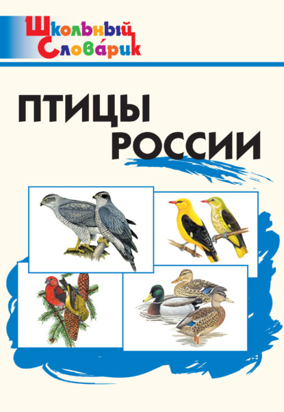 Птицы России. Начальная школа - Группа авторов