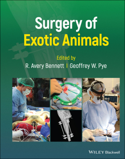 Surgery of Exotic Animals — Группа авторов