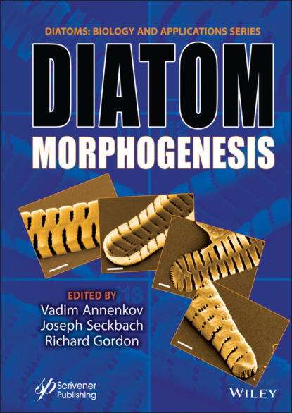 Diatom Morphogenesis — Группа авторов