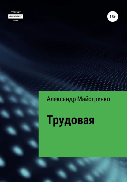 Трудовая — Александр Анатольевич Майстренко