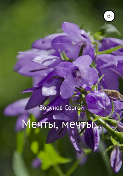 Мечты, Мечты… - Борунов Сергей