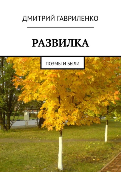 Развилка. Поэмы и были — Дмитрий Гавриленко