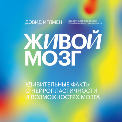 Живой мозг. Удивительные факты о нейропластичности и возможностях мозга - Дэвид Иглмен