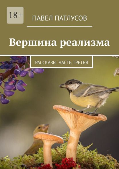 Вершина реализма. Рассказы. Часть третья - Павел Патлусов