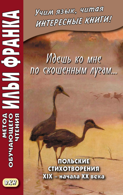 Идешь ко мне по скошенным лугам… Польские стихотворения XIX – начала XX века - Сборник