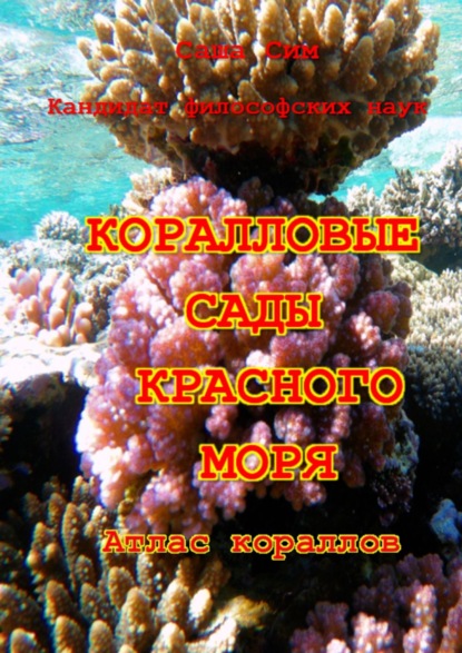 Коралловые сады Красного моря. Атлас кораллов - Саша Сим