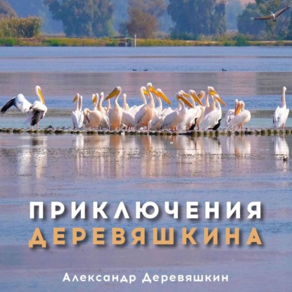 Приключения Деревяшкина — Александр Деревяшкин