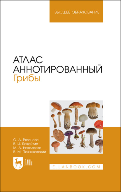 Атлас аннотированный. Грибы. Учебное пособие для вузов - В. М. Позняковский