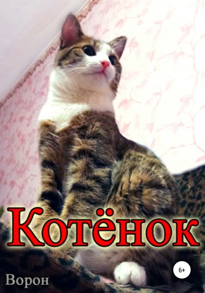 Котёнок - Ворон