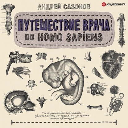 Путешествие врача по Homo Sapiens — Андрей Сазонов