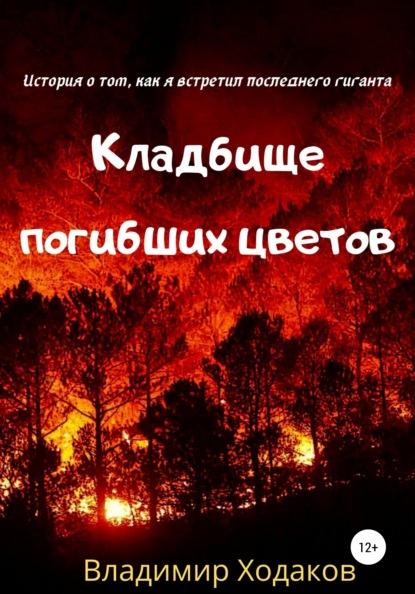 Кладбище погибших цветов — Владимир Ходаков