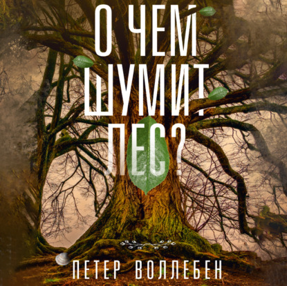 О чем шумит лес? — Петер Вольлебен