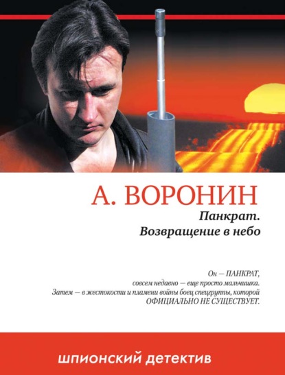 Панкрат. Возвращение в небо - Андрей Воронин