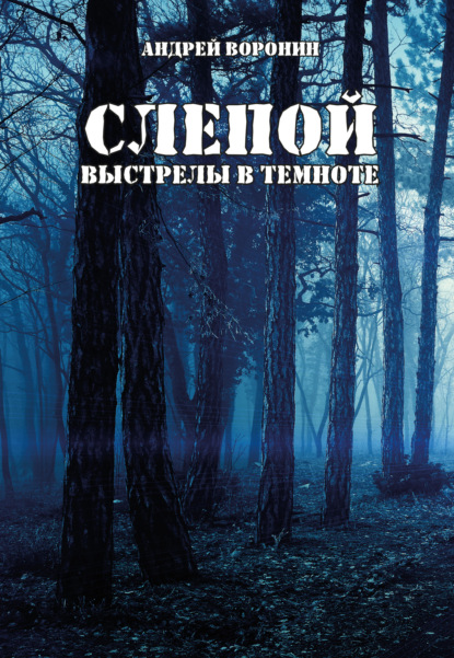 Слепой. Выстрелы в темноте - Андрей Воронин