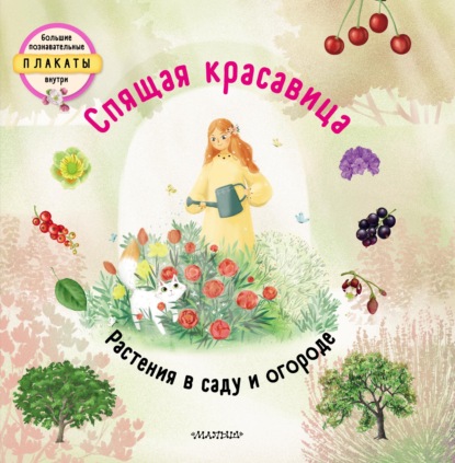 Спящая красавица. Растения в саду и огороде - Штепанка Секанинова