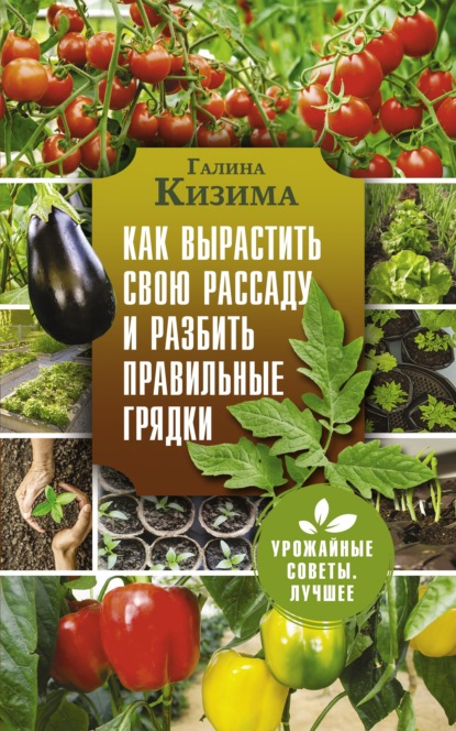 Как вырастить свою рассаду и разбить правильные грядки - Галина Кизима