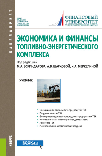 Экономика и финансы топливно-энергетического комплекса. (Бакалавриат). Учебник. — Марина Алексеевна Федотова