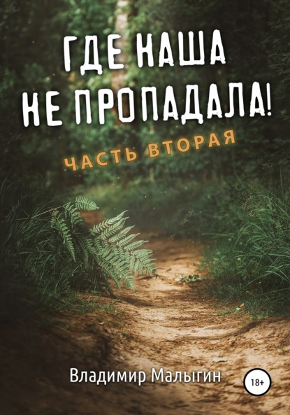 Где наша не пропадала. Часть вторая — Владимир Владиславович Малыгин