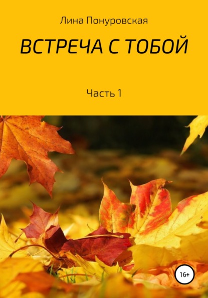 Встреча с тобой. Часть 1 — Лина Александровна Понуровская