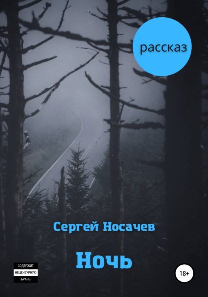 Ночь — Сергей Носачев