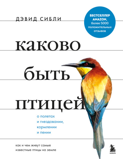 Каково быть птицей: о полетах и гнездовании, кормлении и пении. Как и чем живут самые известные птицы на земле — Дэвид Сибли