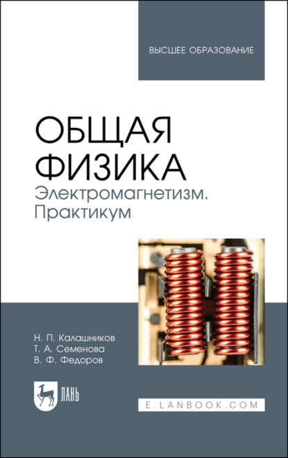 Общая физика. Электромагнетизм. Практикум - Н. П. Калашников