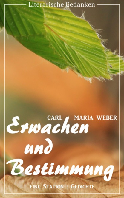 Erwachen und Bestimmung (Carl Maria Weber) (Literarische Gedanken Edition) - Карл Мария фон Вебер