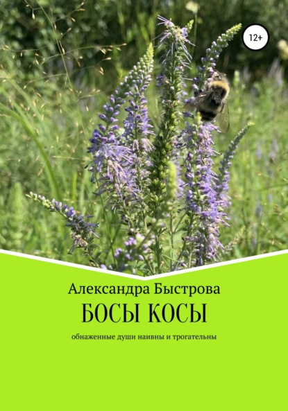 БОСЫ КОСЫ. Маленькие эпизоды большого пути - Александра Быстрова