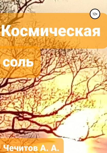 Космическая соль - Александр Александрович Чечитов