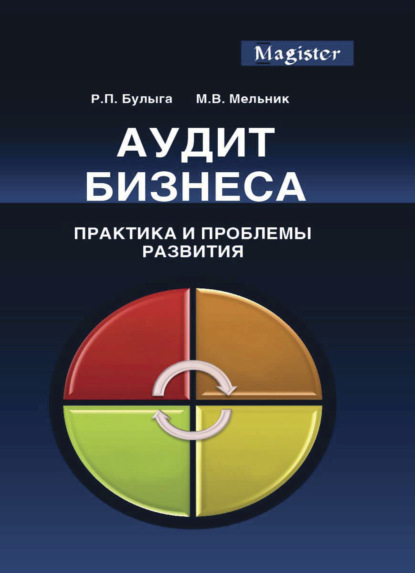 Аудит бизнеса. Практика и проблемы развития - Р. П. Булыга