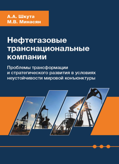 Нефтегазовые транснациональные компании. Проблемы трансформации и стратегического развития в условиях неустойчивости мировой конъюнктуры - А. А. Шкута