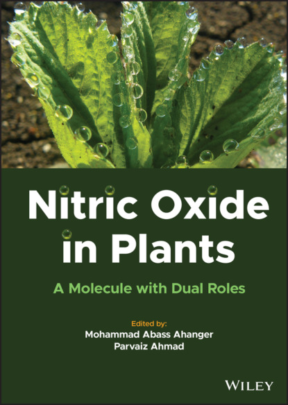 Nitric Oxide in Plants - Группа авторов