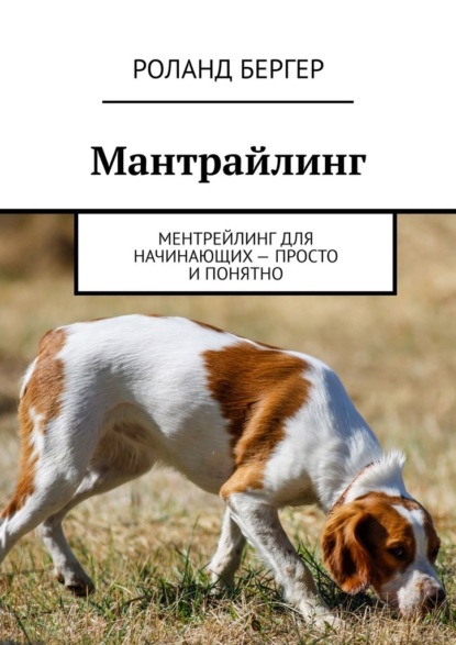 Мантрайлинг. Ментрейлинг для начинающих – просто и понятно - Роланд Бергер