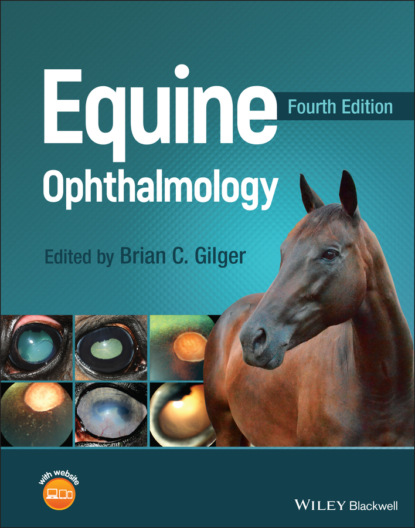 Equine Ophthalmology - Группа авторов