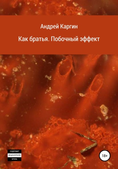 Как братья. Побочный эффект — Андрей Геннадиевич Каргин