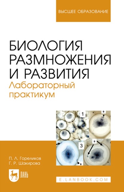 Биология размножения и развития. Лабораторный практикум. Учебно-методическое пособие для вузов - П. Л. Гореликов