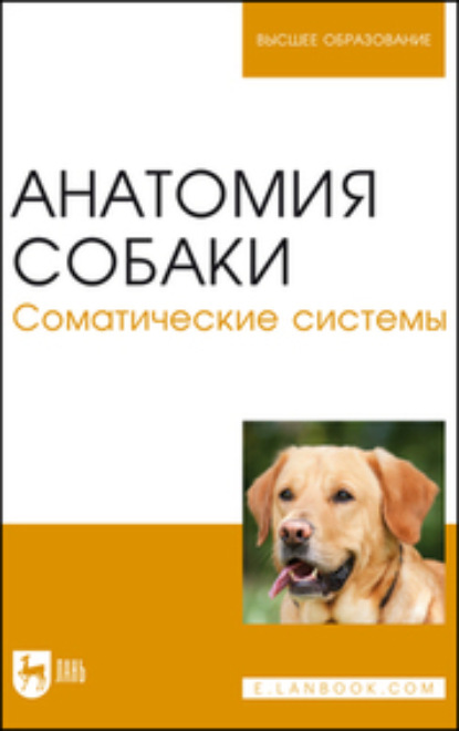 Анатомия собаки. Соматические системы - Н. В. Бабичев