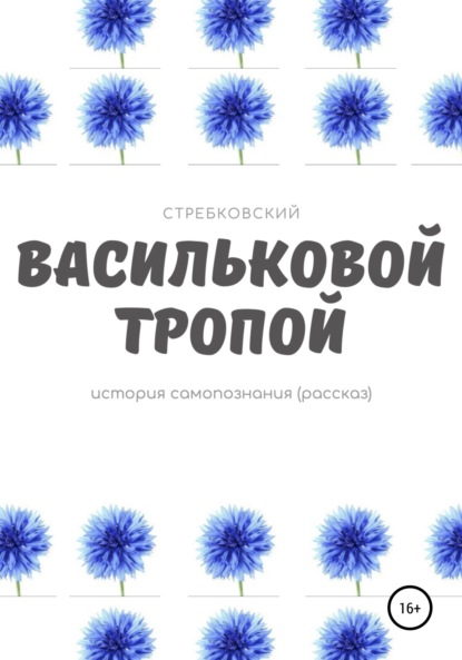 Васильковой тропой — Стребковский