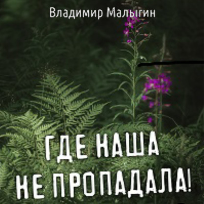 Где наша не пропадала - Владимир Владиславович Малыгин