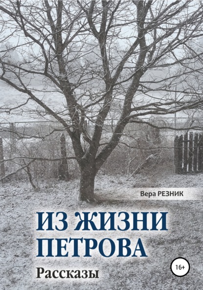 Из жизни Петрова. Рассказы — Вера Резник