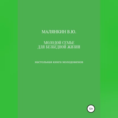 Молодой семье для безбедной жизни. Настольная книга молодоженов — Владимир Юрьевич Малянкин