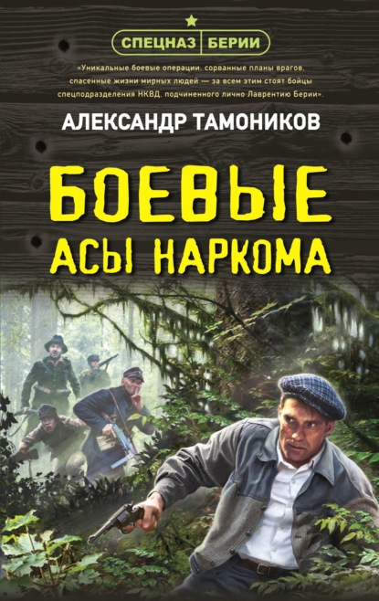 Боевые асы наркома — Александр Тамоников