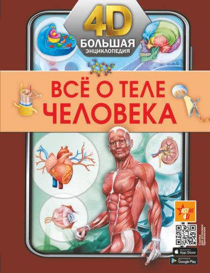 Всё о теле человека — А. А. Спектор