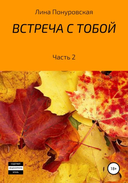 Встреча с тобой. Часть 2 — Лина Александровна Понуровская