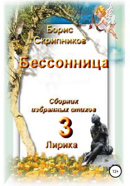 Бессонница. Сборник избранных стихов. Книга 3. Лирика - Борис Сергеевич Скрипников