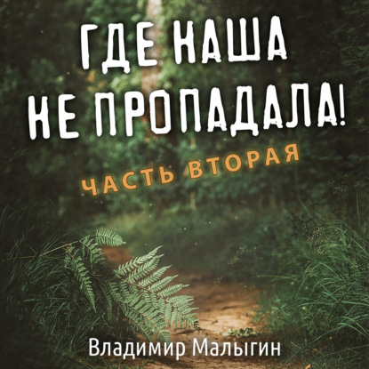 Где наша не пропадала. Часть вторая - Владимир Владиславович Малыгин