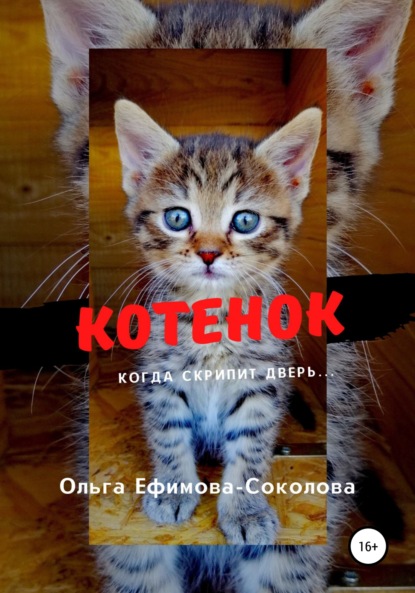 Котенок - Ольга Ефимова-Соколова