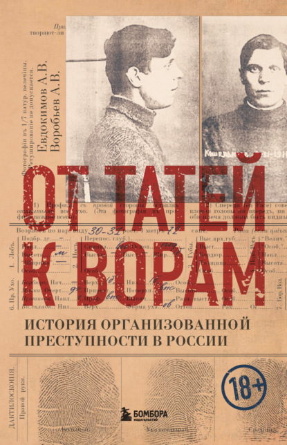 От татей к ворам. История организованной преступности в России - Александр Воробьев